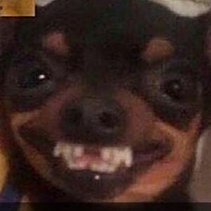 Meet your Posher, Little